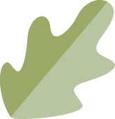 Ícono