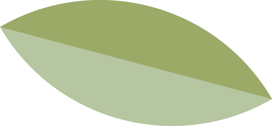 Ícono