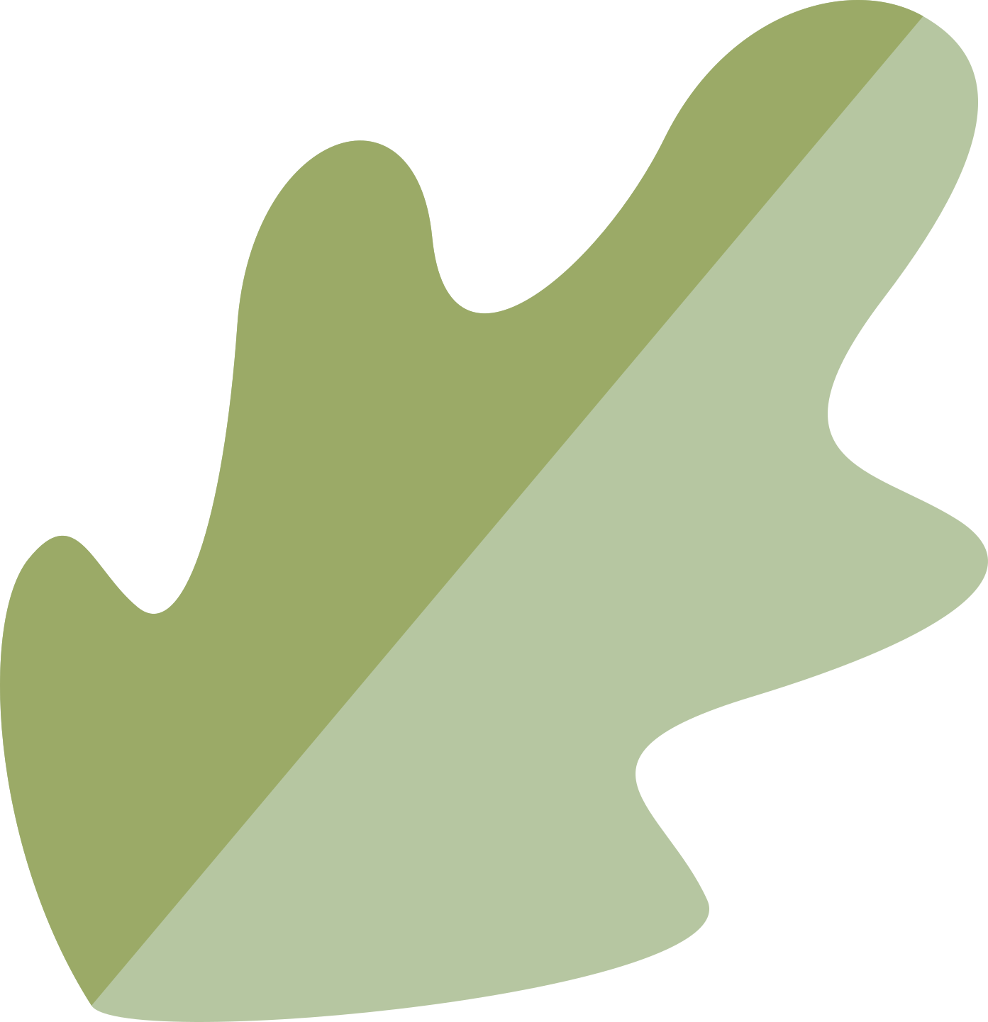 Ícono
